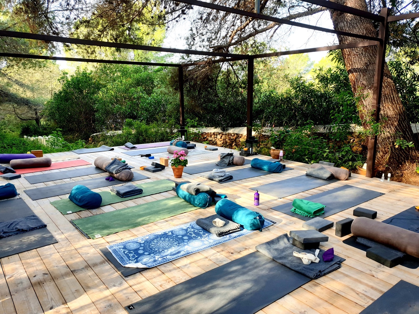 Registering your hours with Yoga Alliance: Yin Yoga Course - YOGALEELA